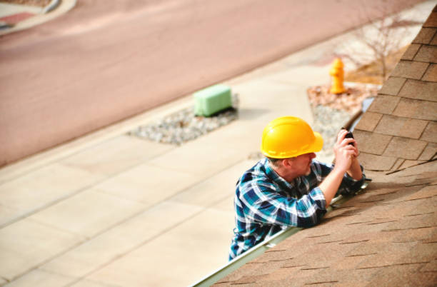 Best Roof Gutter Cleaning  in Colfax, WI