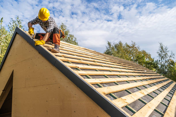 Best Roof Maintenance Services  in Colfax, WI
