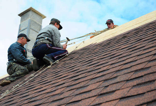 Best Roofing Contractors for Homes  in Colfax, WI