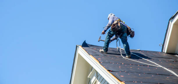 Best Shingle Roofing Installation  in Colfax, WI